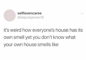 Meirl