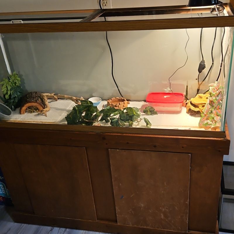 Lol R Leopardgeckos - City Textures - High Quality 4K Collection