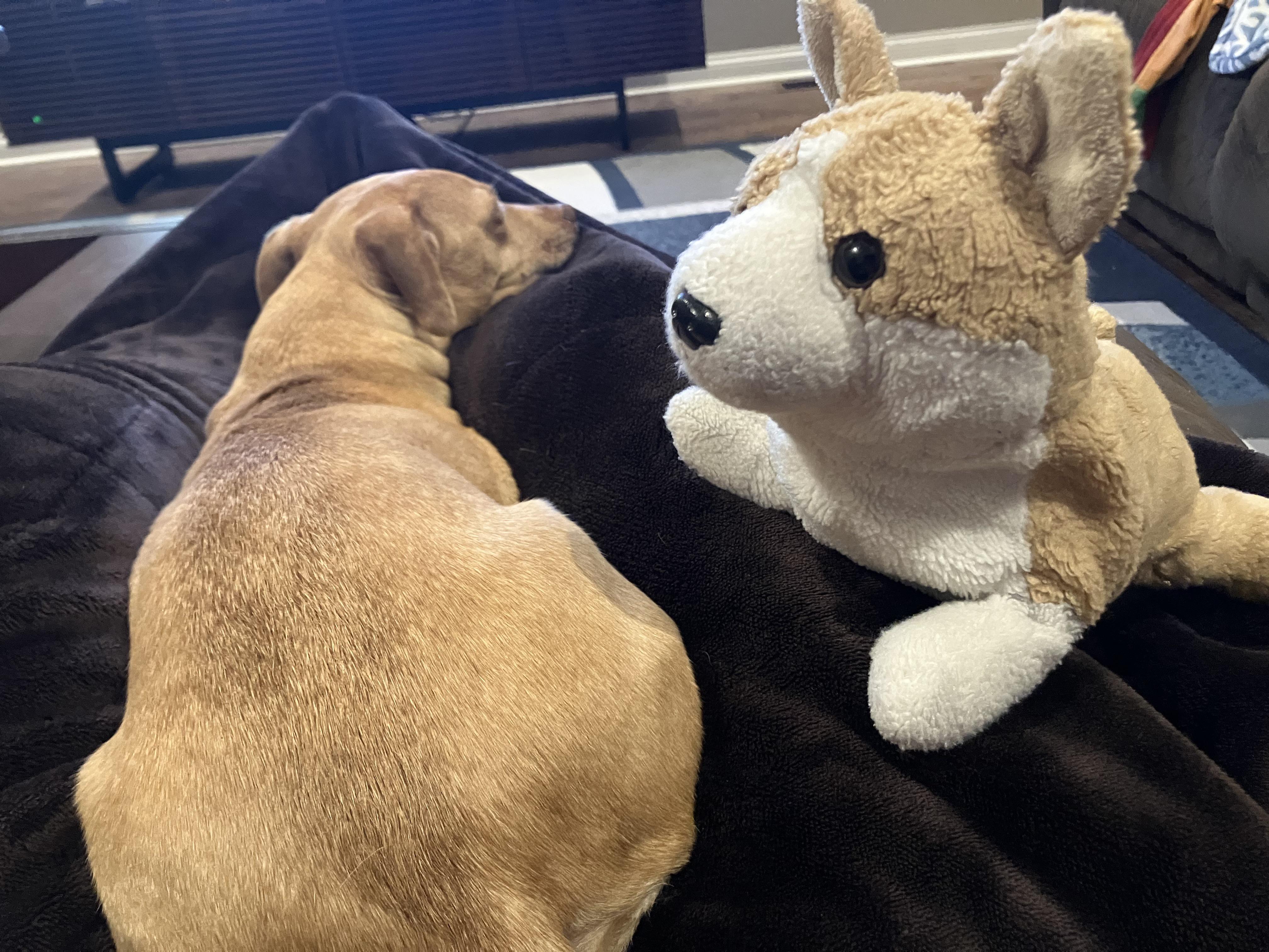 Saturdays Ukraine Solidarity Roundtable - 11092024 :  rEnough_Sanders_Spam