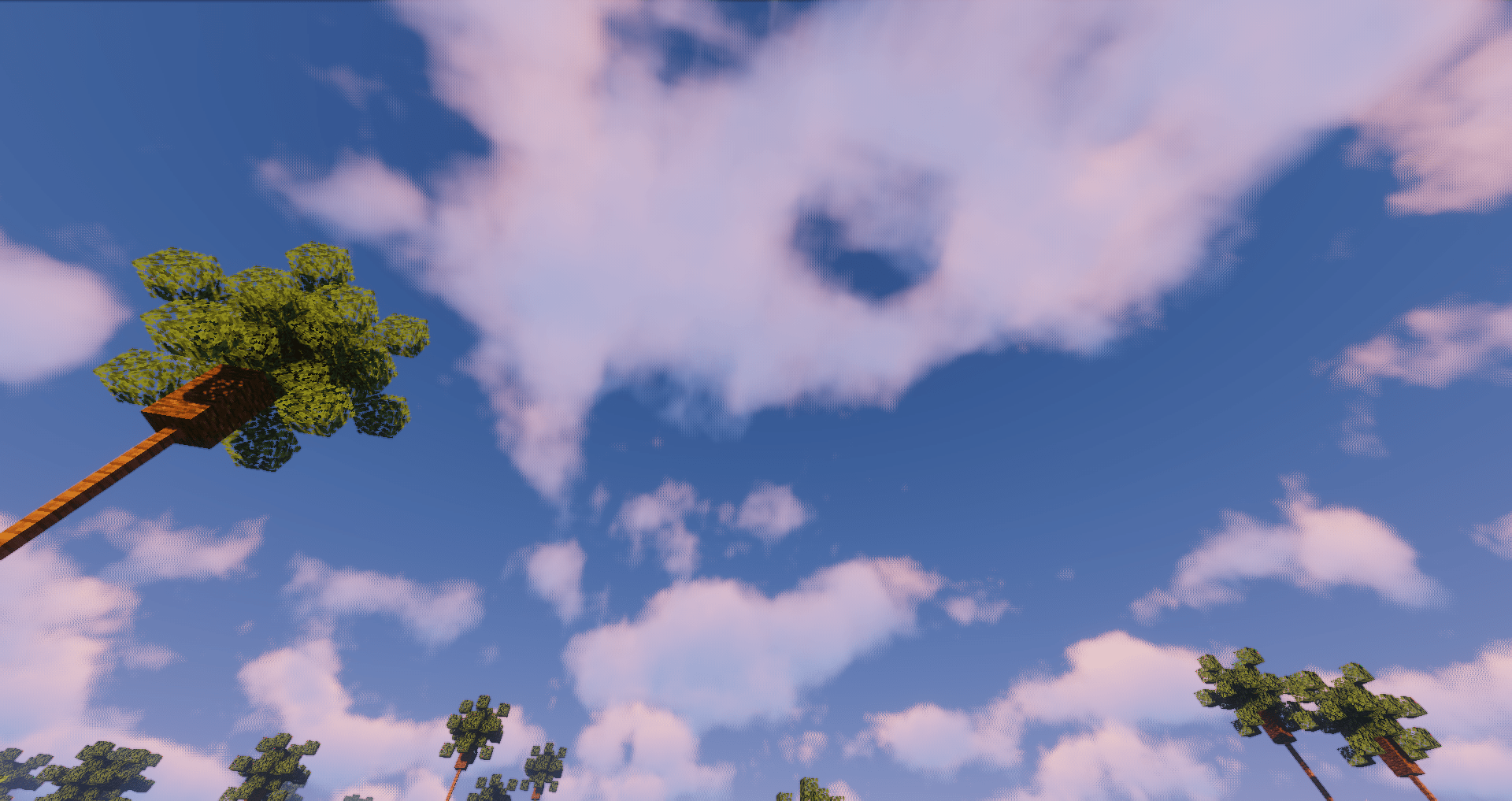 Aestheticãambitiousãasian Photo California Palm Trees Summer Pictures