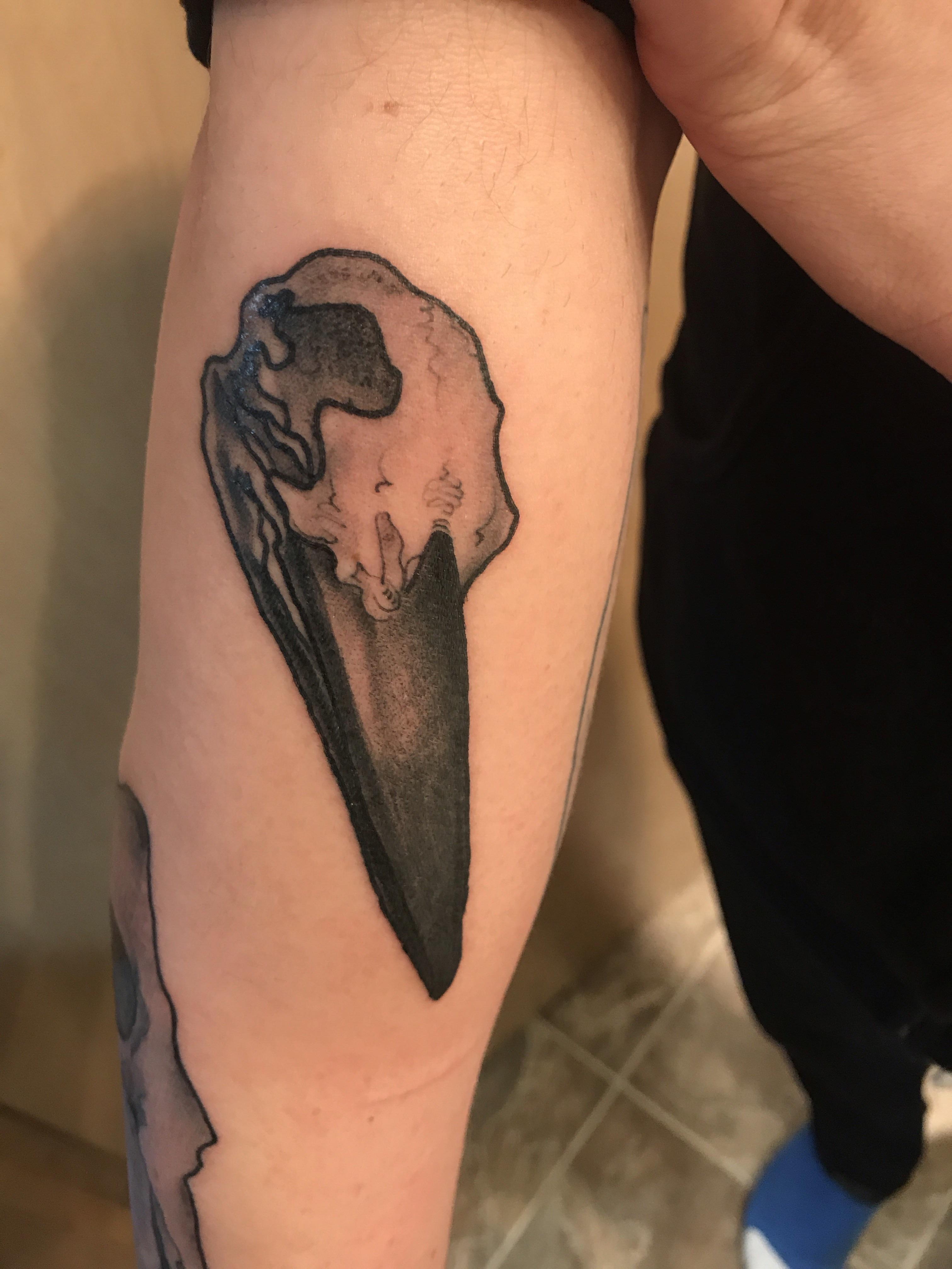 Kingfisher Skull By Ryan Wiebusch Artcore Seattle Wa Tattoos