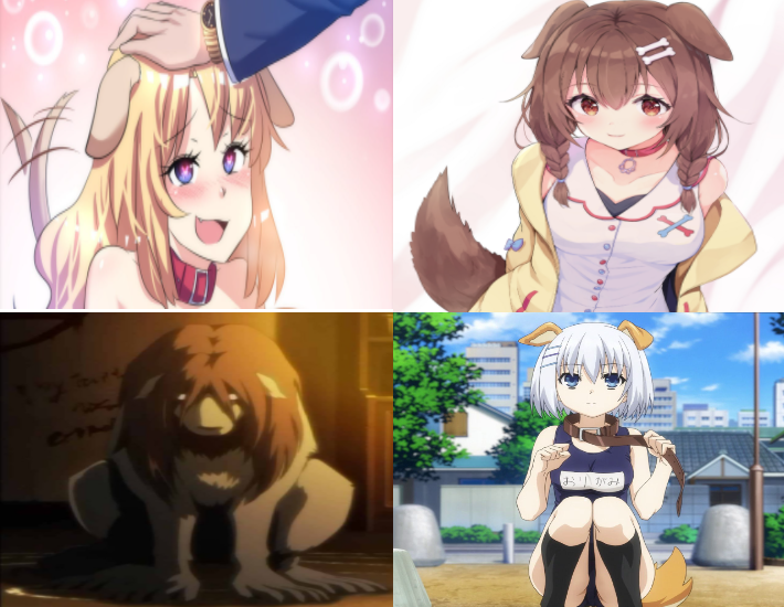 Learn how to use first aid to treat an animal bite on a dog. I Love Anime Dog Girls Goodanimemes