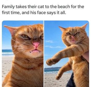 He is actively planning revenge against everyone involved