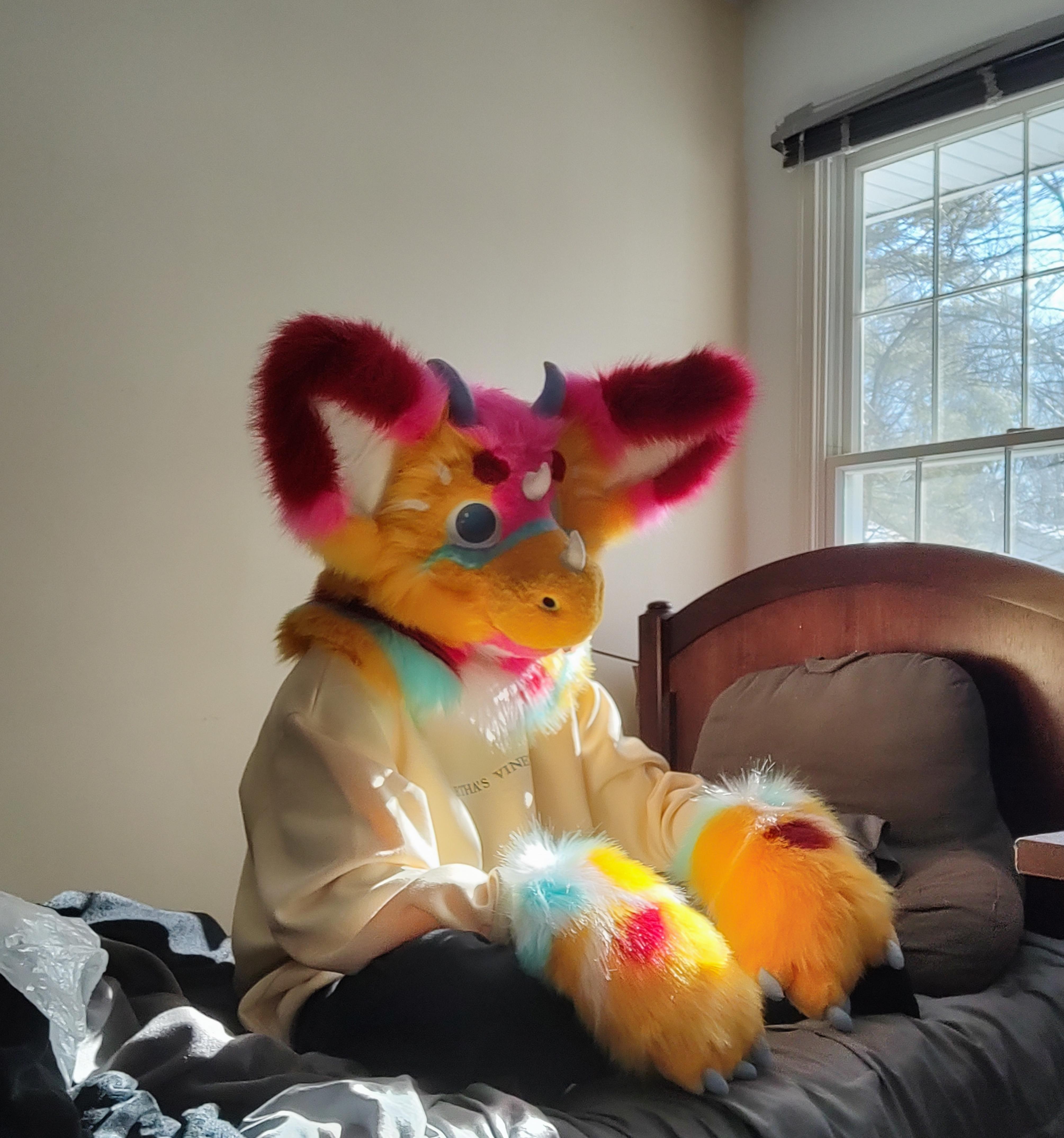 As someone who wants to start making fursuits, what all do I need to get  started? (List form would be appreciated) : rFursuitMaking