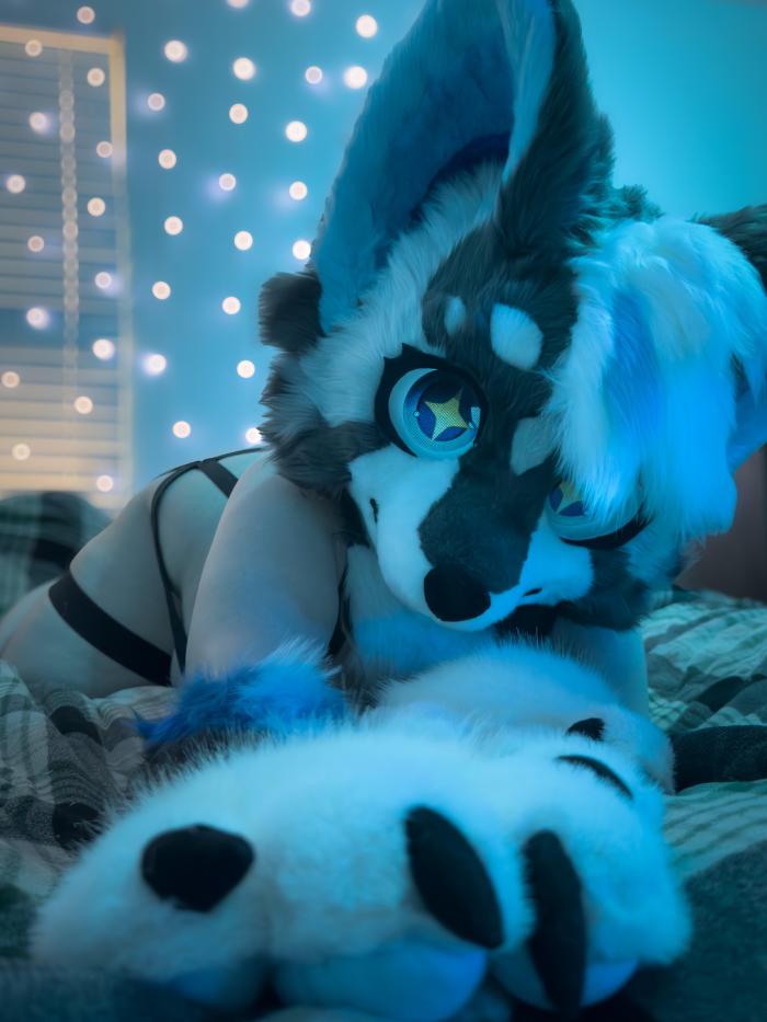 sillypupx