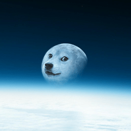 Dogecoin To The Moon Png : Isn't the moon just beautiful! : dogecoin