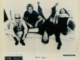 The Cult