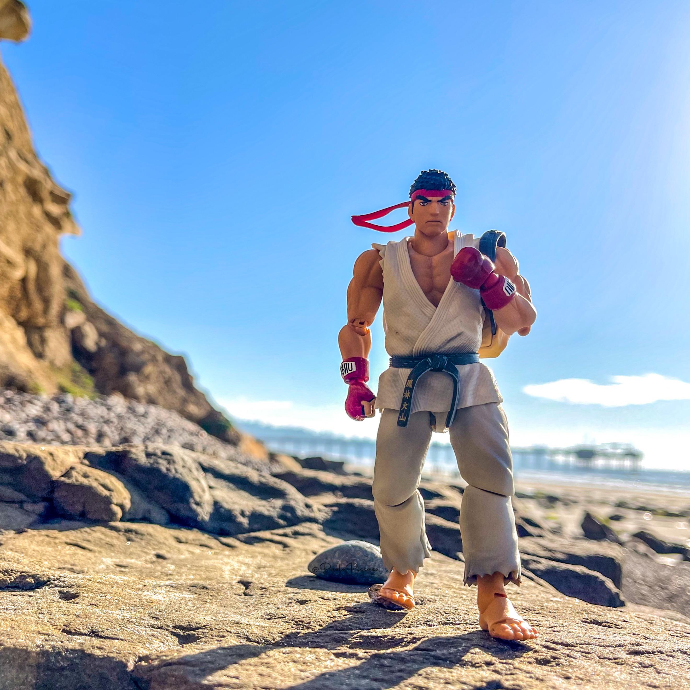 “the path to becoming a true martial artist never ends.”