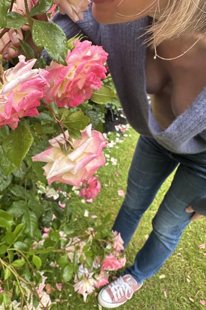 exoticarches