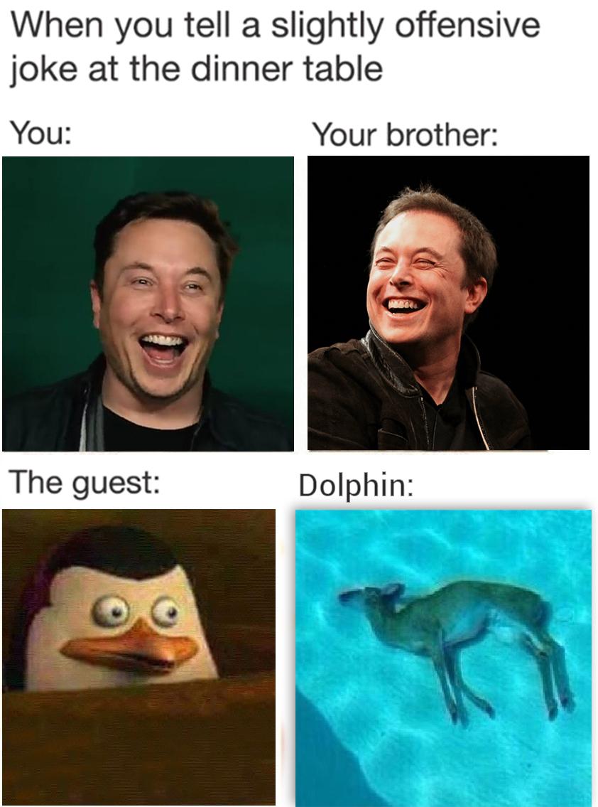 These days, he serves as ceo of tesla and is involved in countless other successful projects, including space exp. Meme Review R Dankmemes