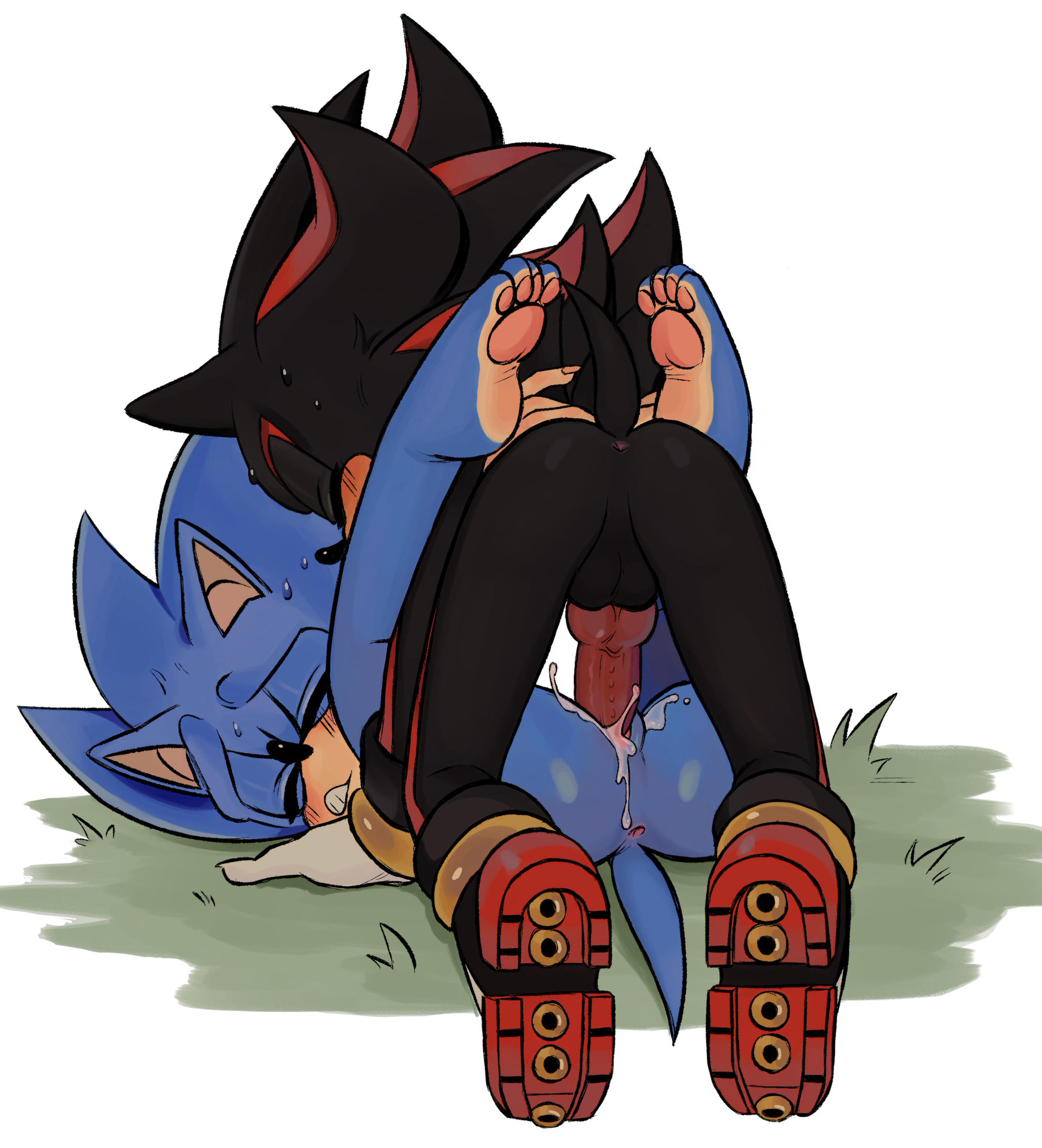 Animated Sonic x Shadow gay porn-KrazyELF's finest