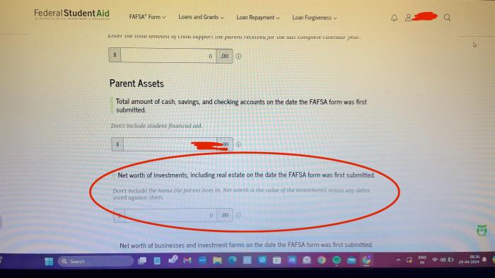 Fafsa net worth of current investments car