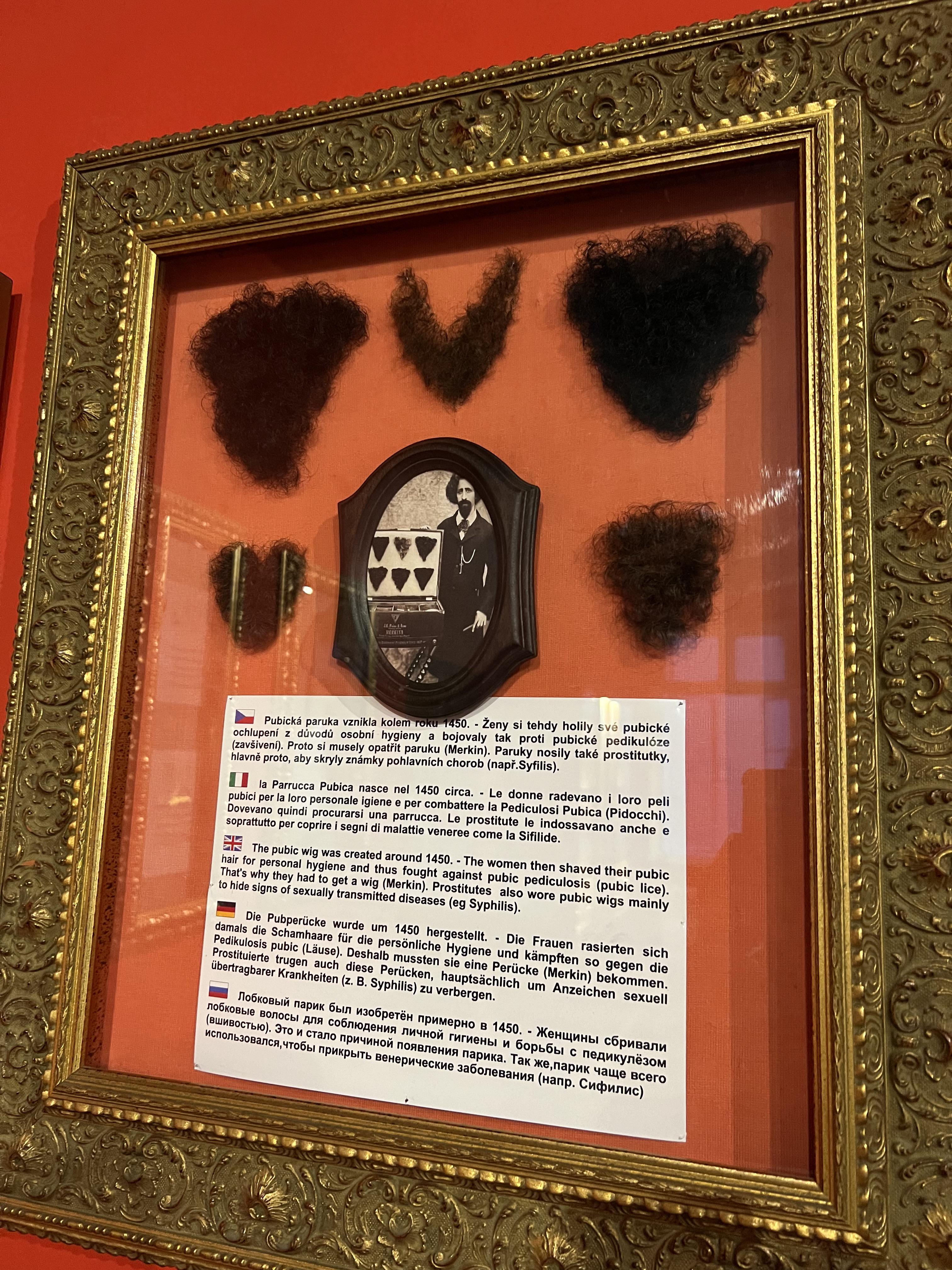 I saw pubic wig in a museum in Prague : rmildlyinteresting