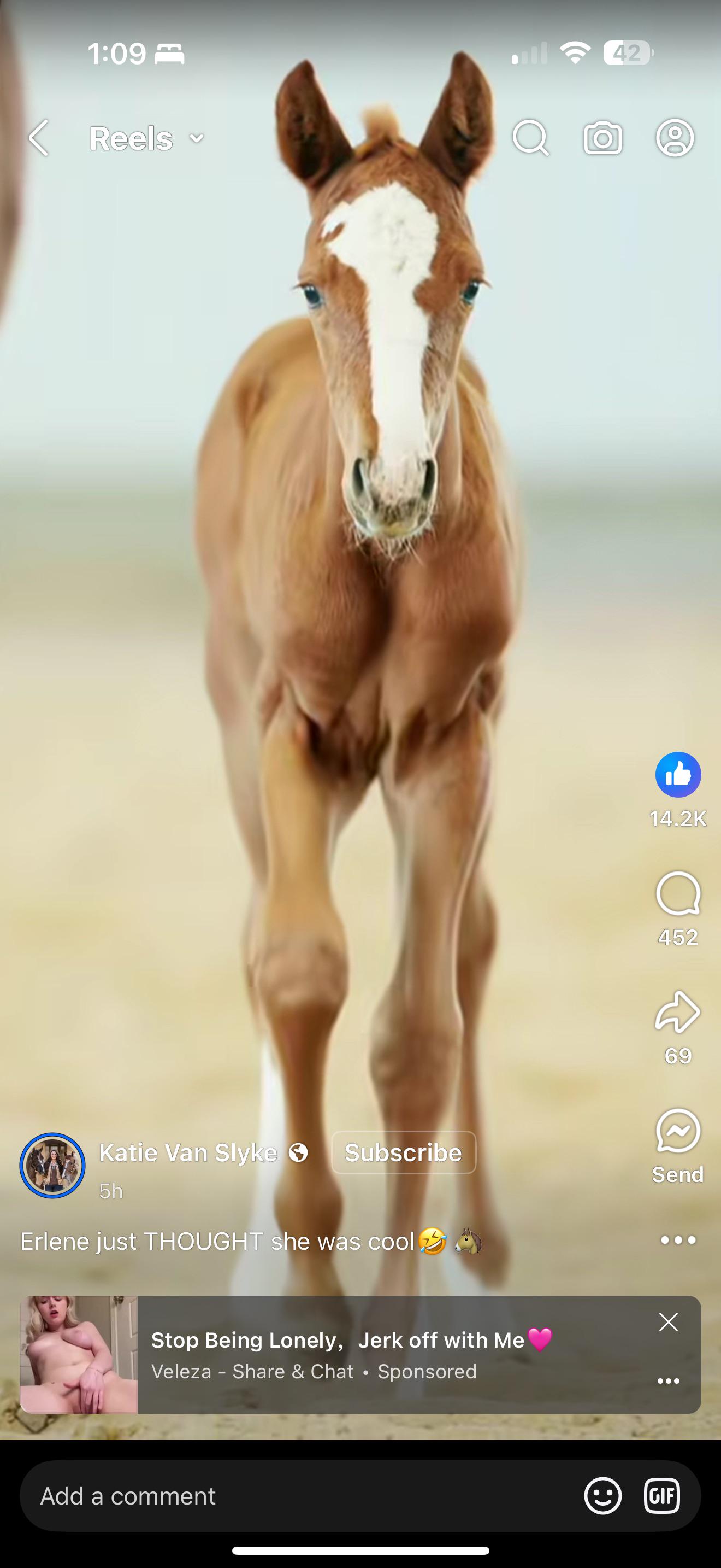 Is anyone else seeing pornographic ads on their timeline? : rFacebookAds