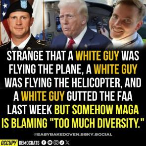 Too Much Diversity