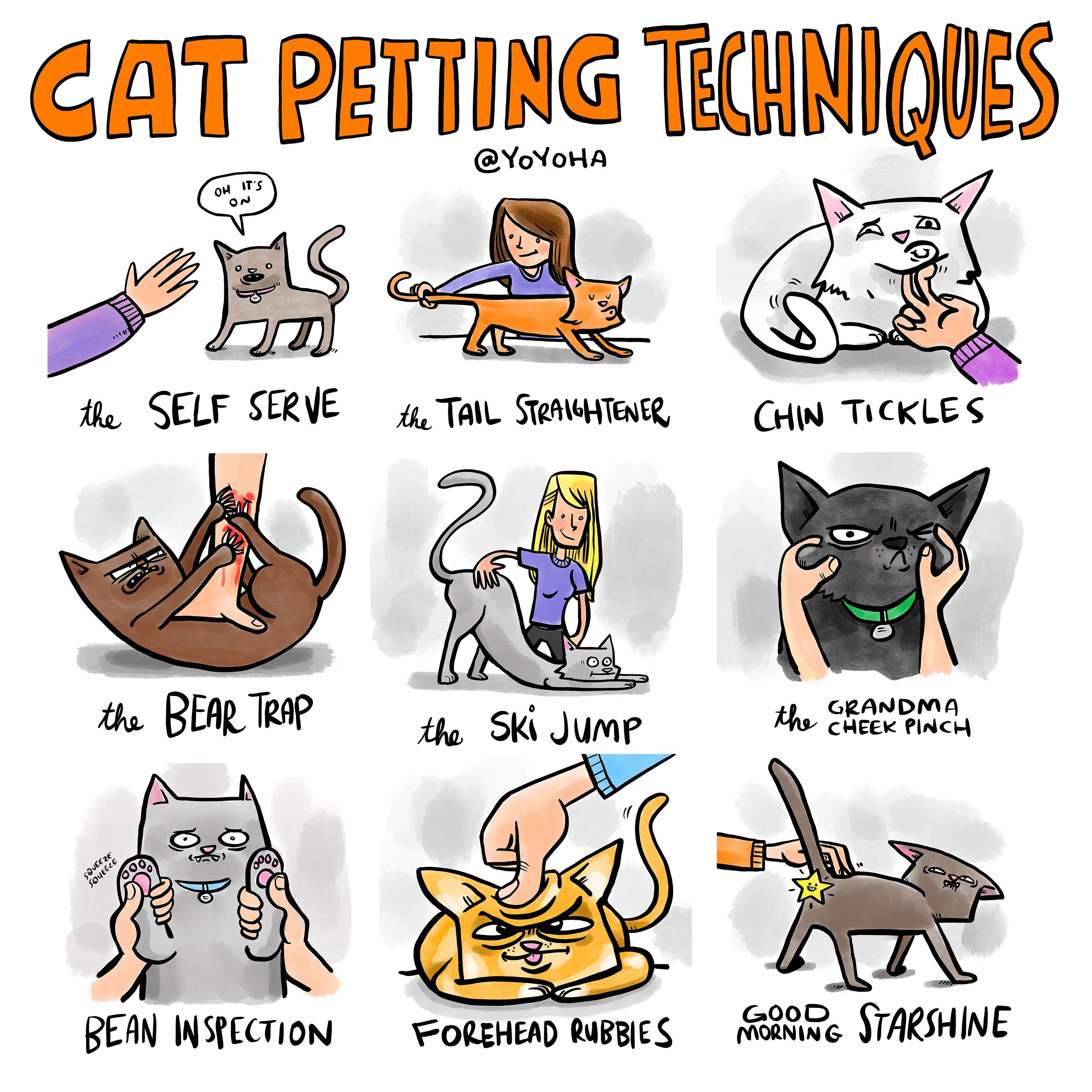cat petting techniques rfunny on where to pet a cat reddit