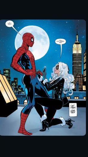 SpiderMan x Black Cat