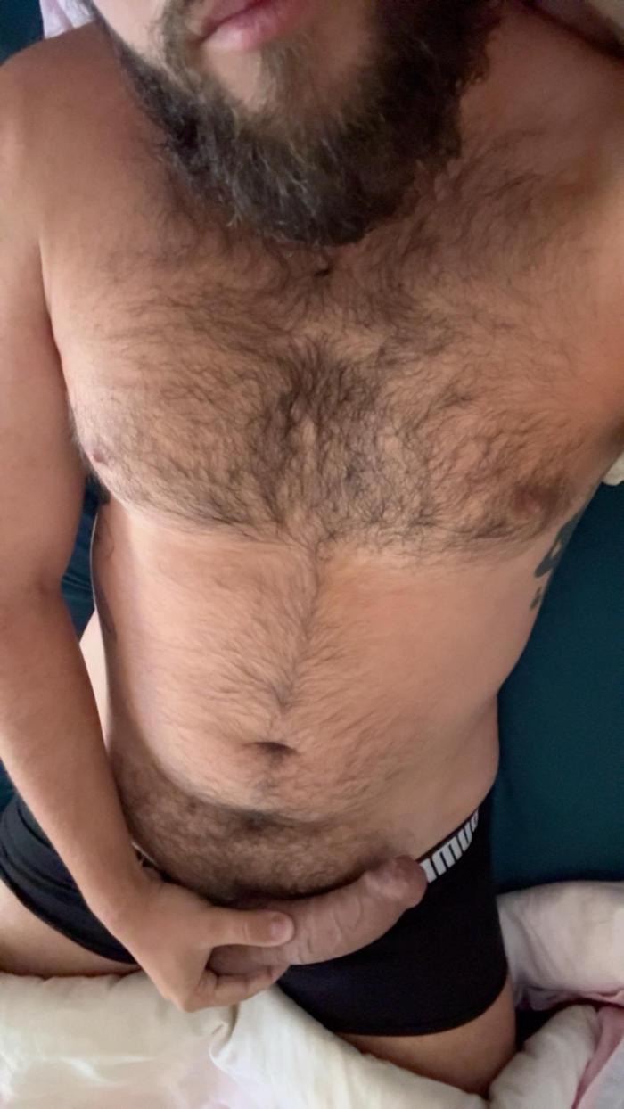 davseg3