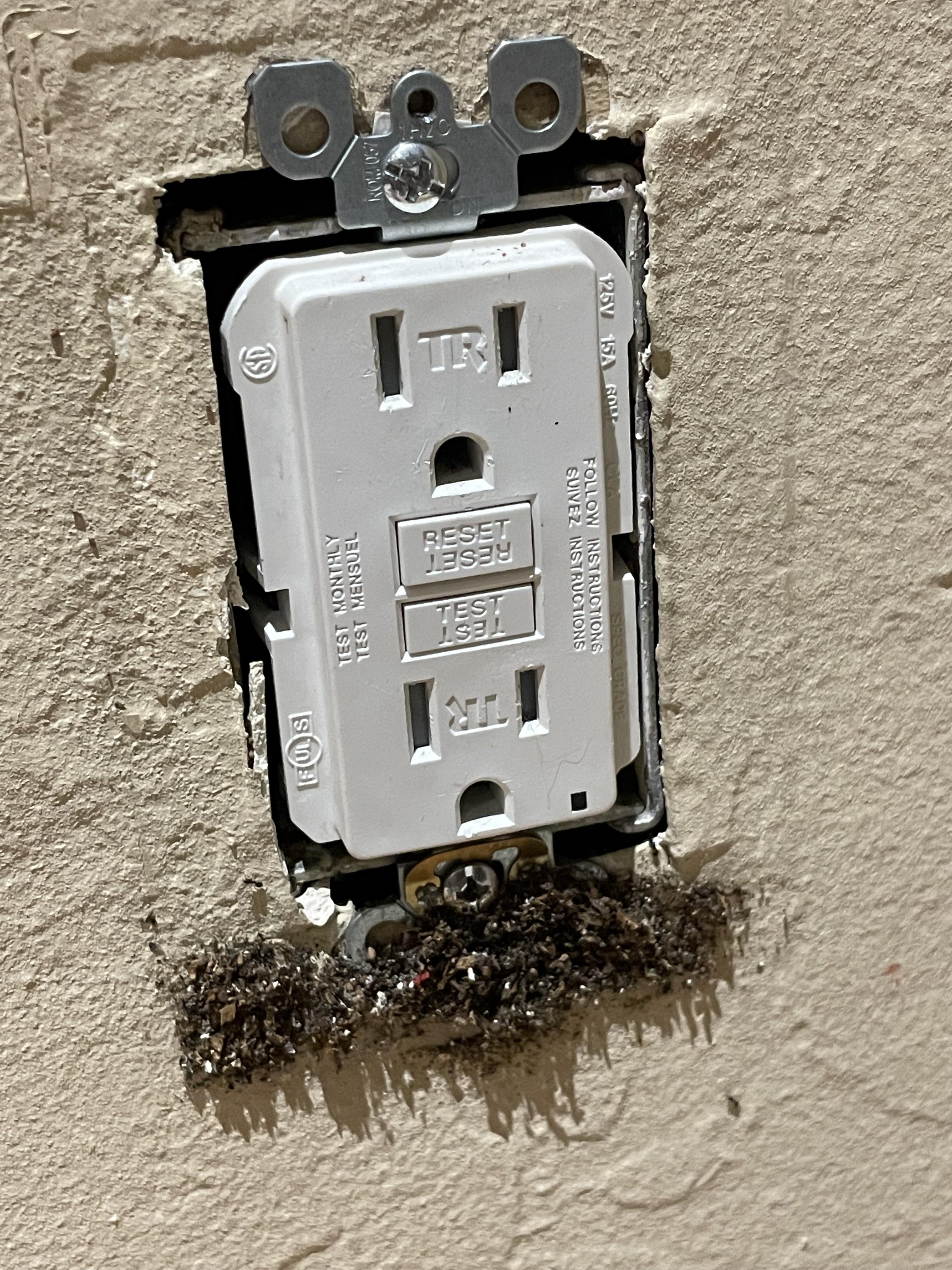 ants on the exterior of car - help rpestcontrol on ants in my car reddit