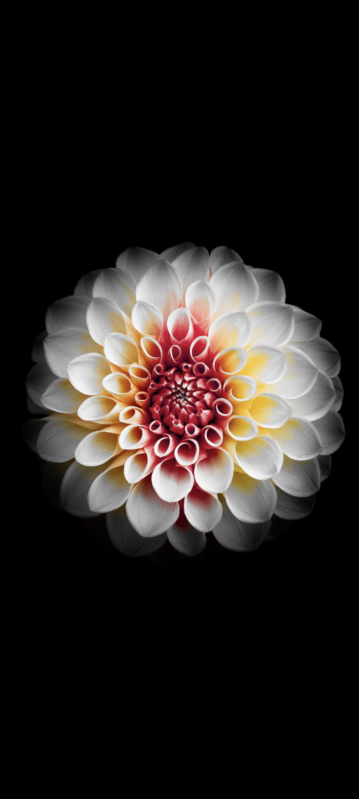 You can download wallpapers for your samsung galaxy s21 ultra. Wallpapers For The S21 Ultra Enjoy R S21ultra