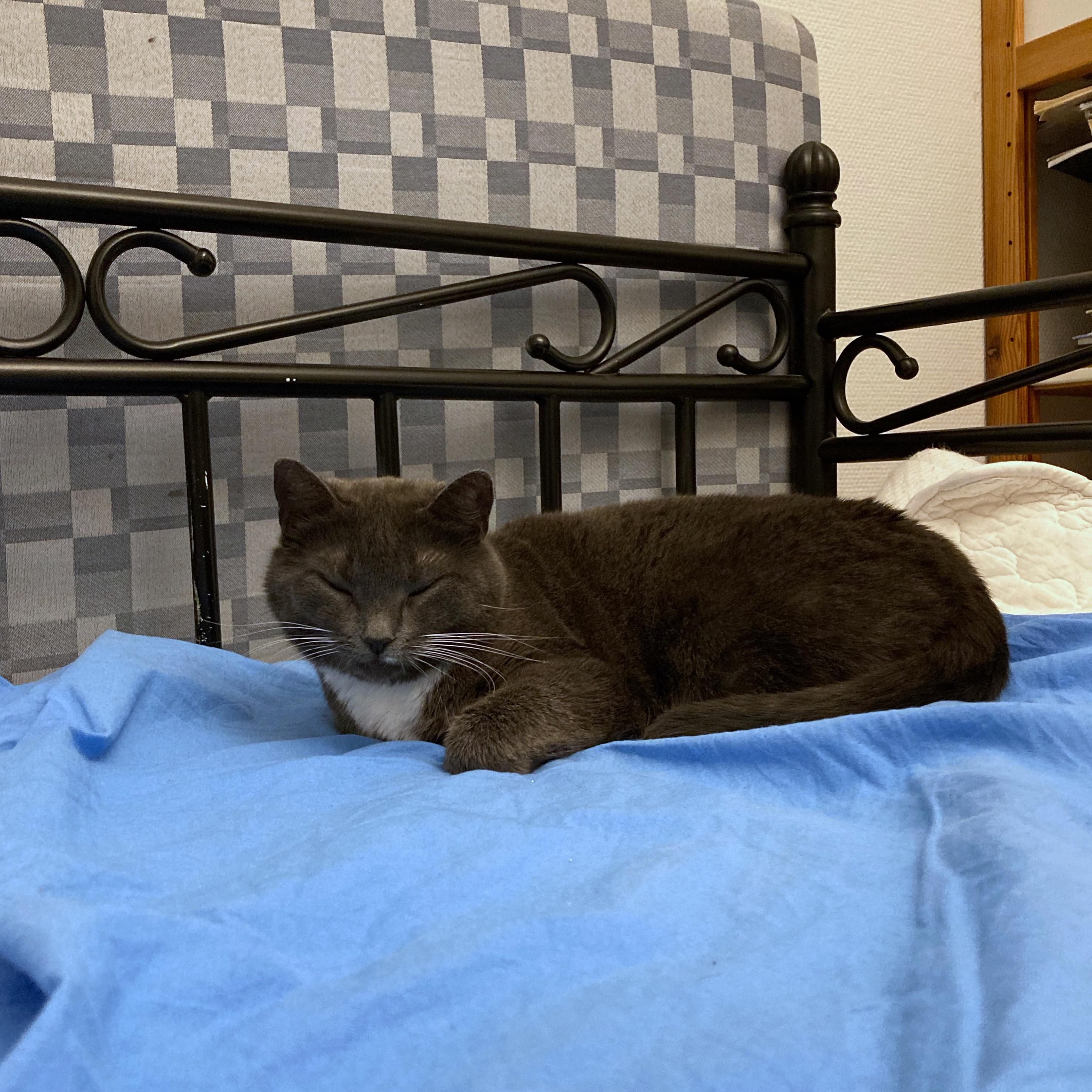 Does Anyone Have Tea On... Weekly Discussion Thread : rFauxmoi