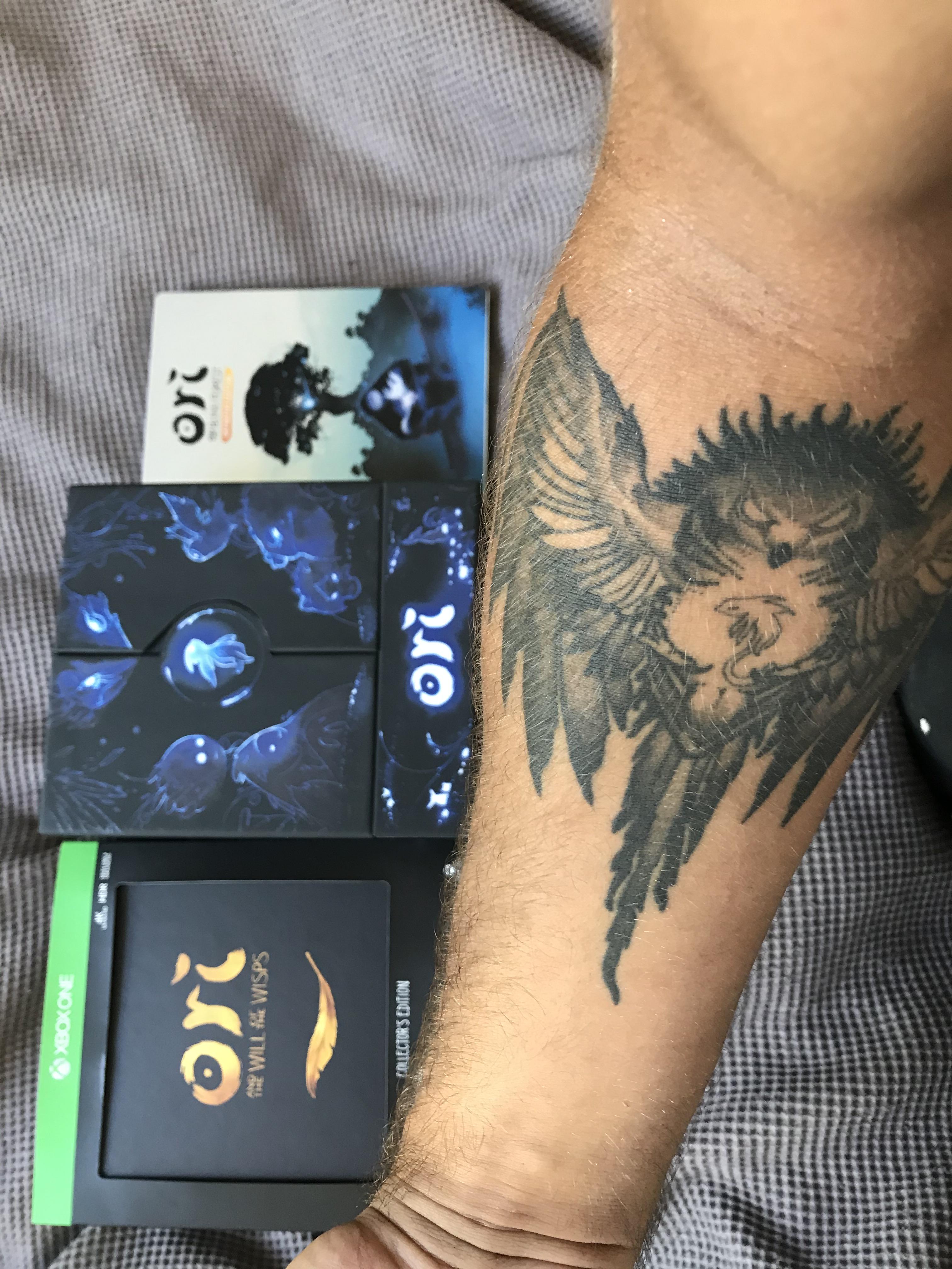 The Amount Of Money Well Spent On This Game Grows By The Day : Oriandtheblindforest 4032_x_3024_jpg