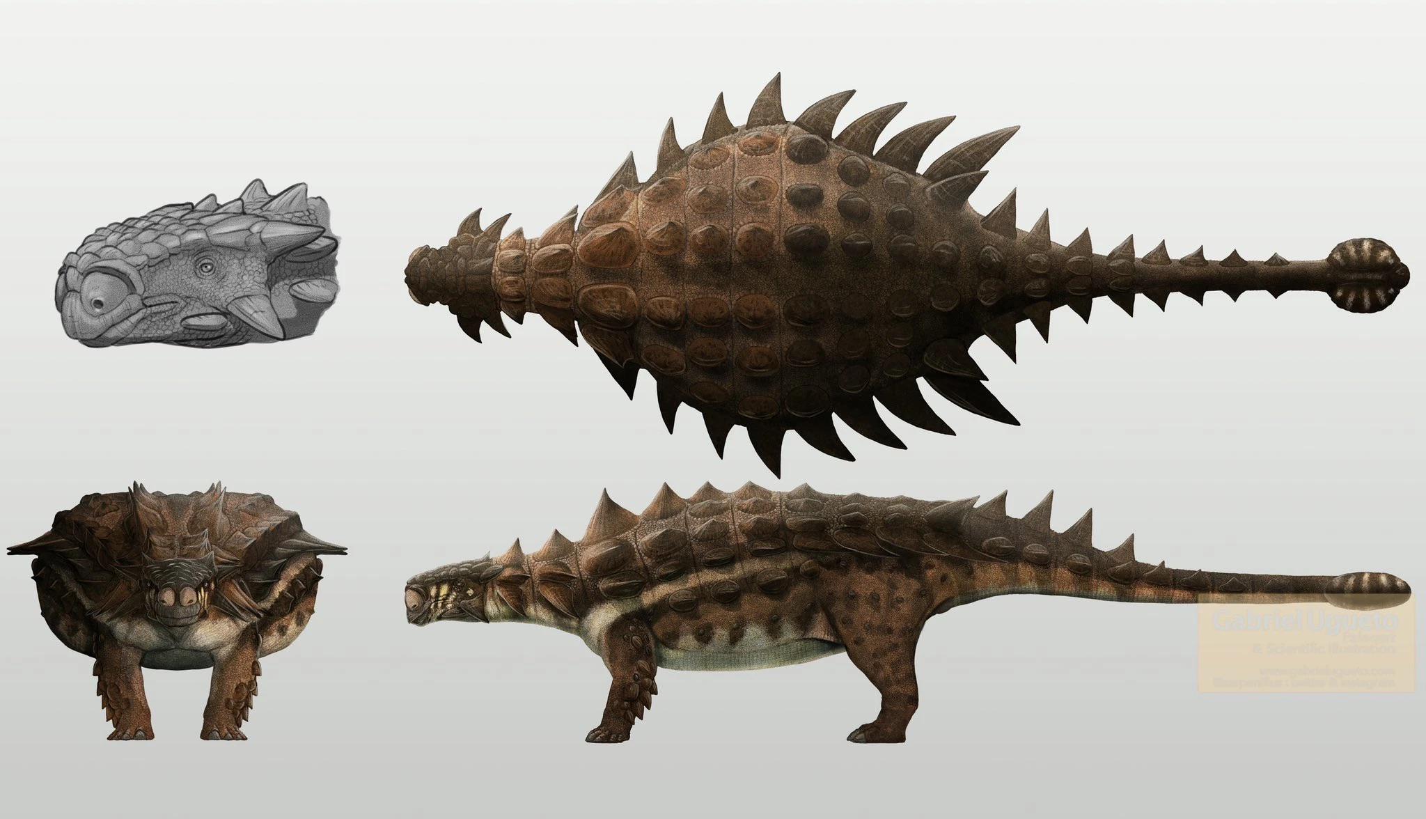 Cómo se reproducían los dinosaurios? Aguantame un poco, por favor. :  rPaleontology