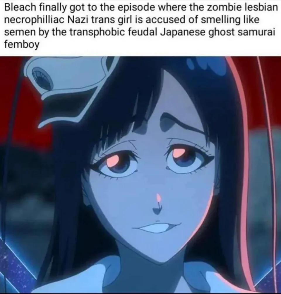 Thats one way to say Bleach has diversity. : rgoodanimemes