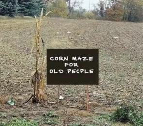 Comming this Halloween