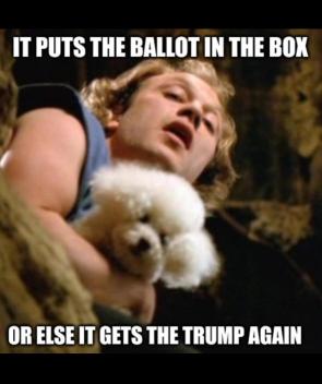 It puts the ballot in the box