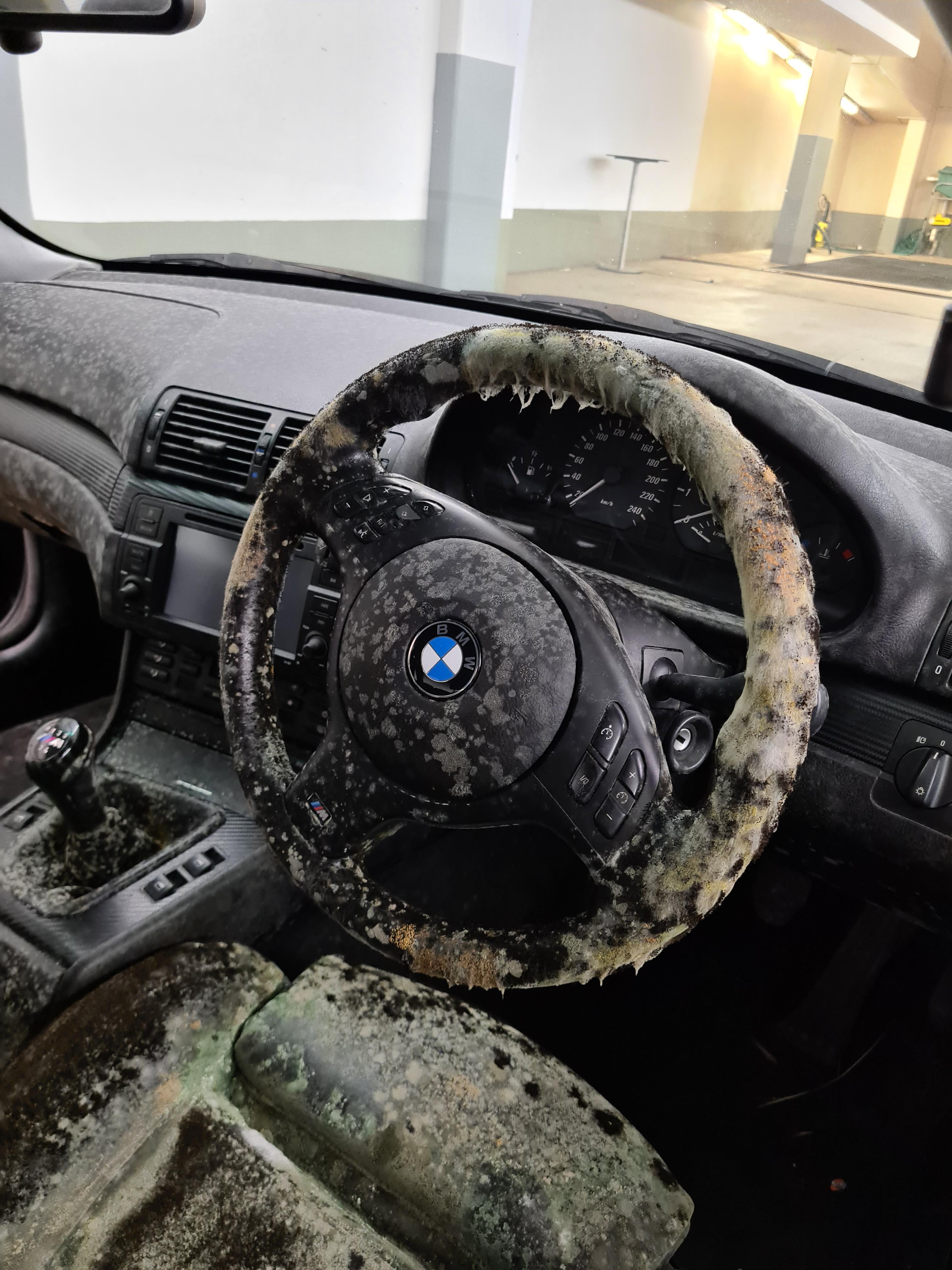 bad car mold-- can we fix it who do we call rcartalk on car mold removal reddit