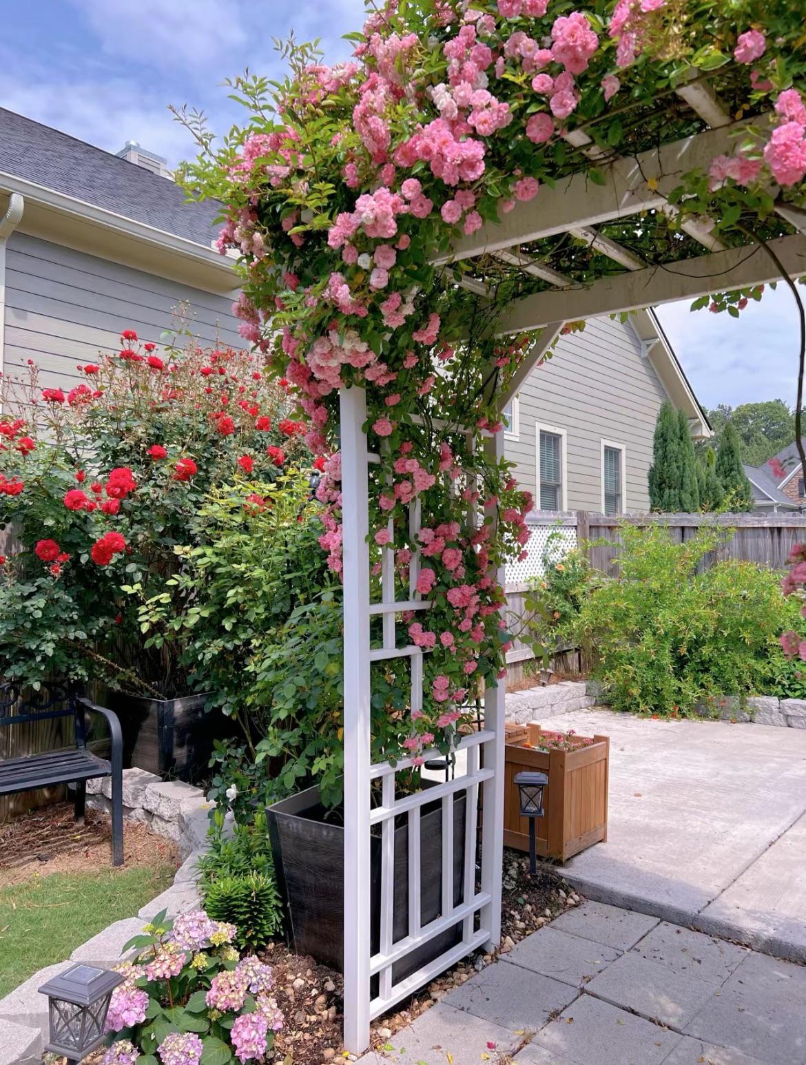 A small garden in the backyard.