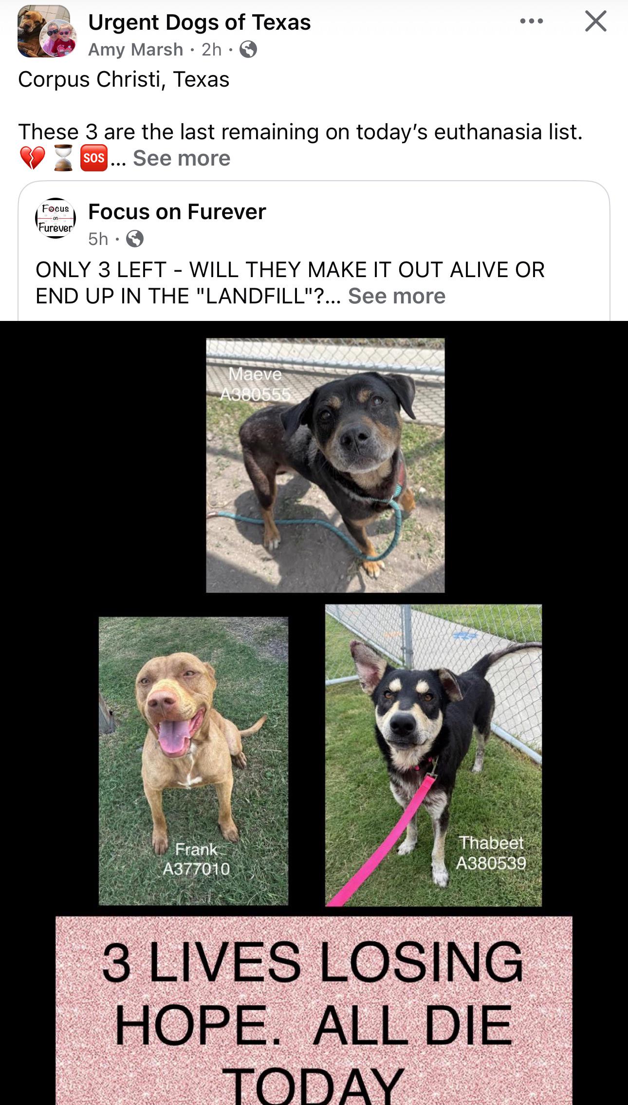 Corpus Christi, Texas