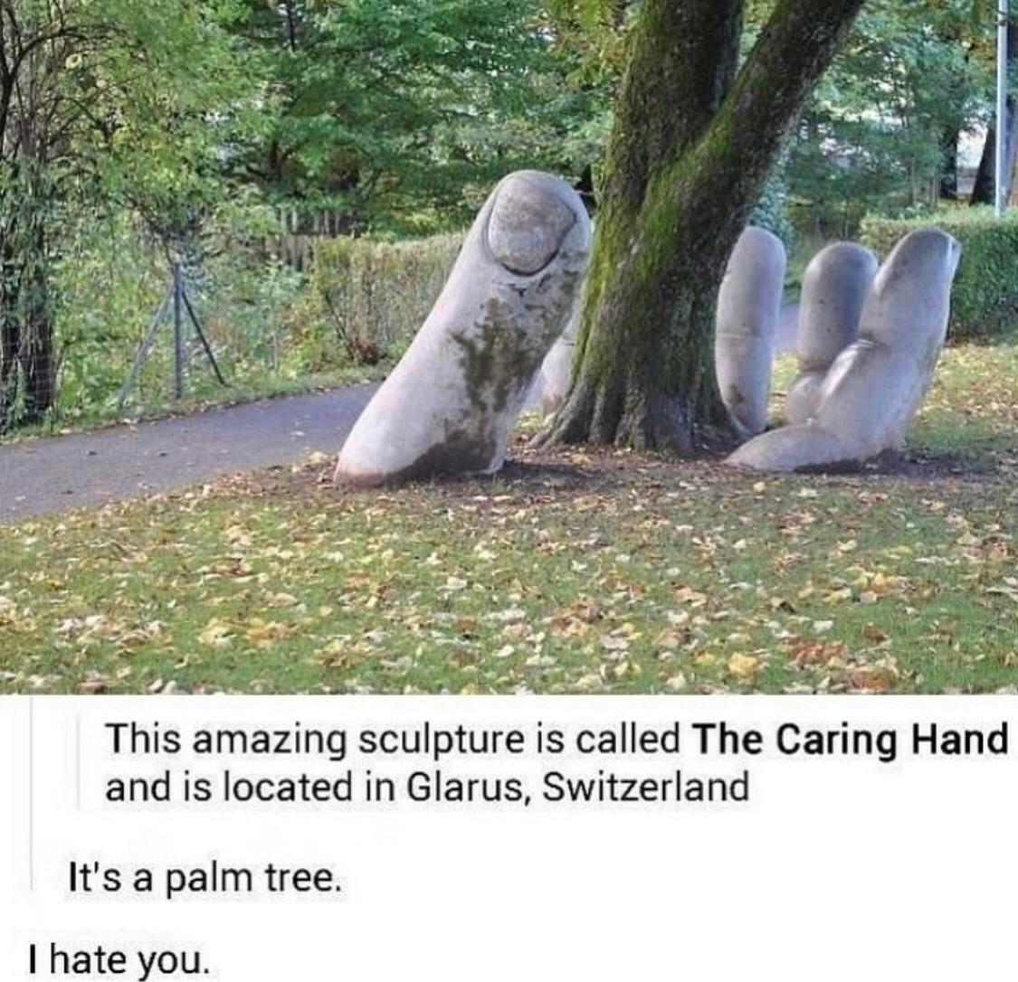 A Friend Didn T Think There Were Many Tree Puns To Be Made Challenge Accepted Album On Imgur Tree Puns Puns Puns Jokes