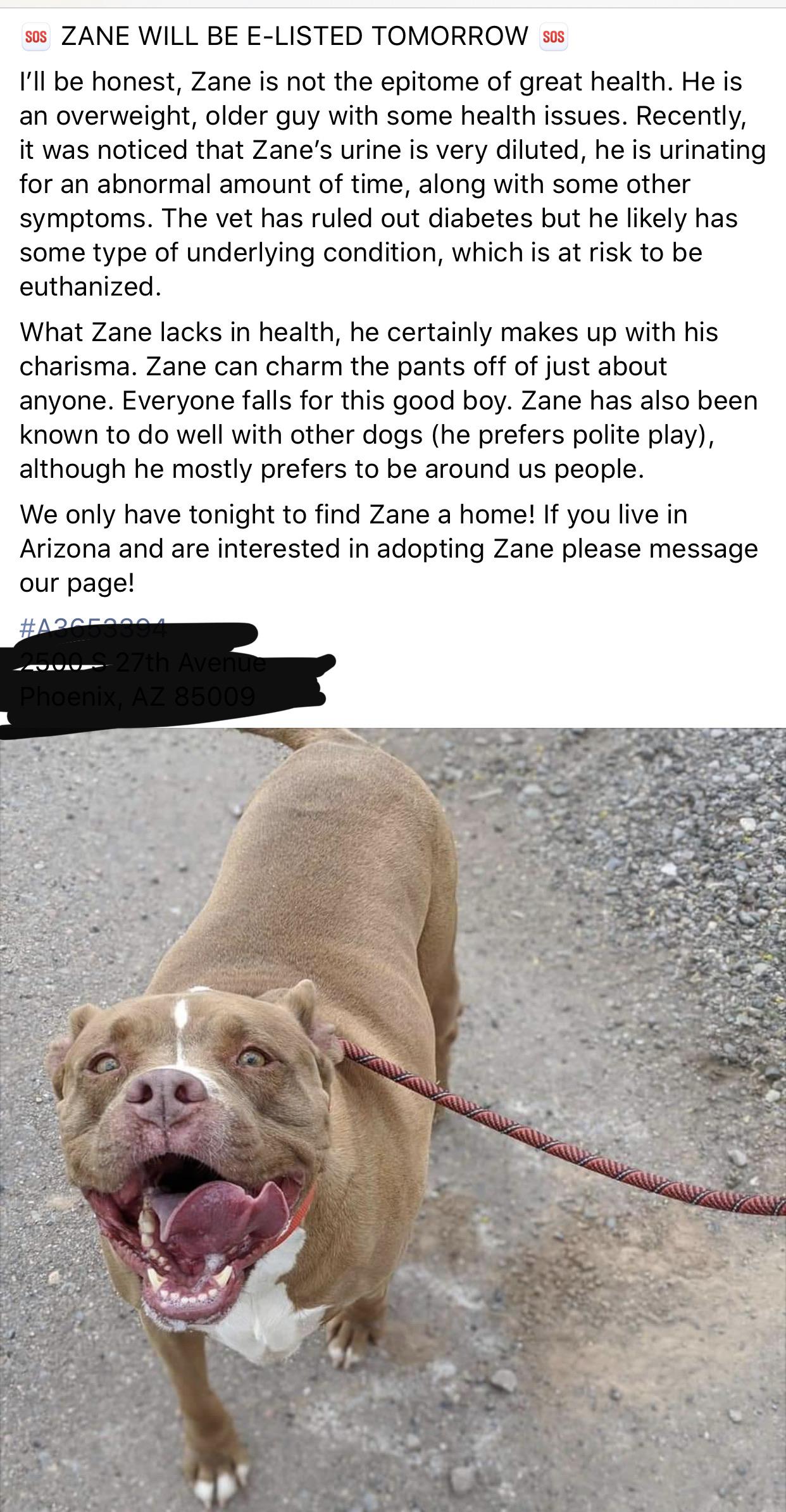 What Does Proper Level 1 And Level 2 Apa Mean What do these symbols