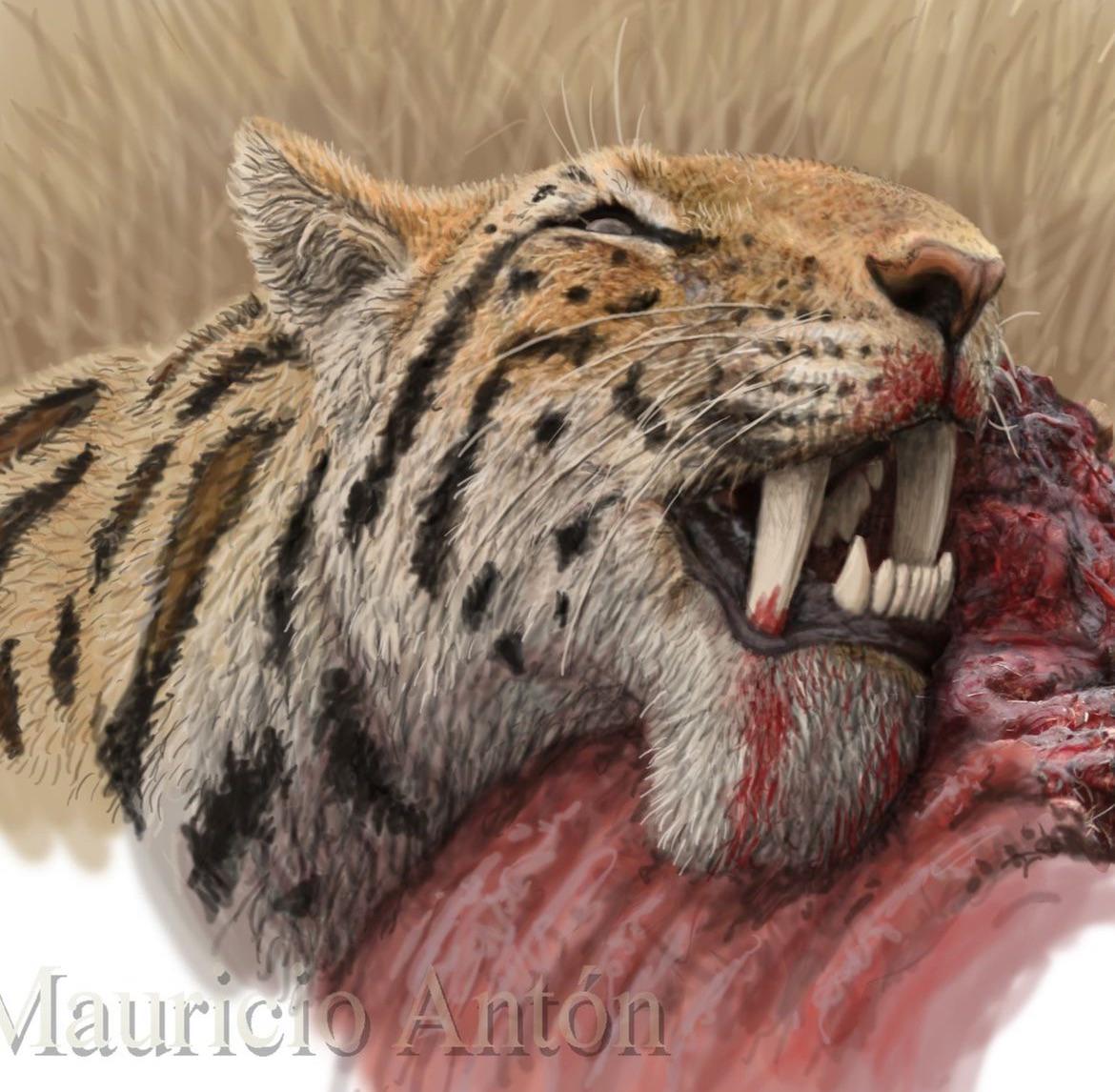 International Tiger Day: How are tigers faring now?