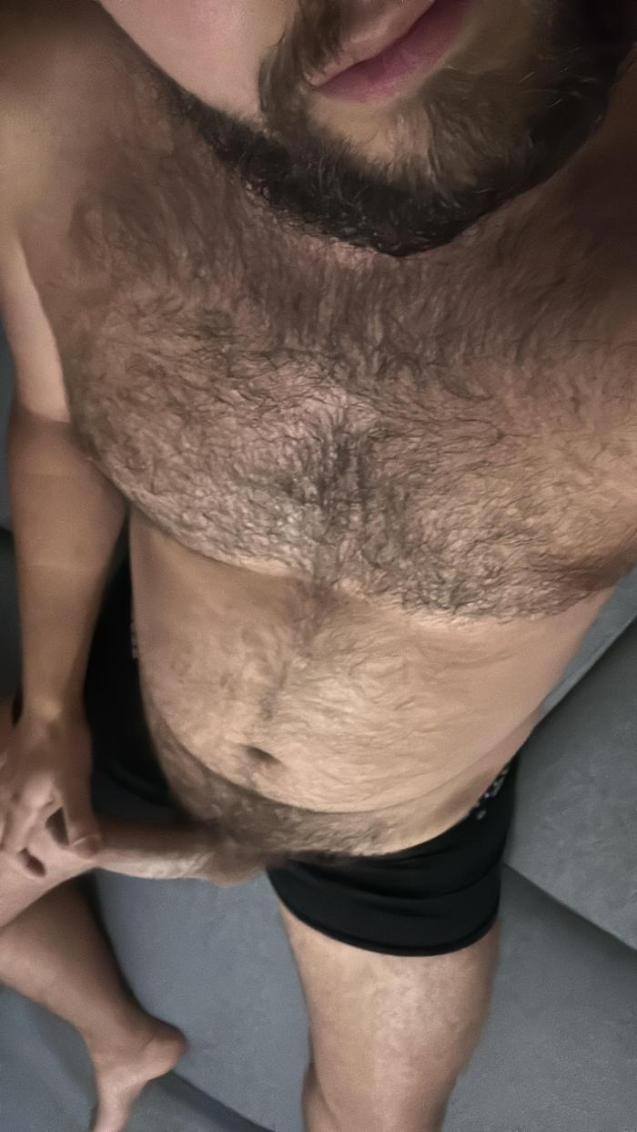 davseg3