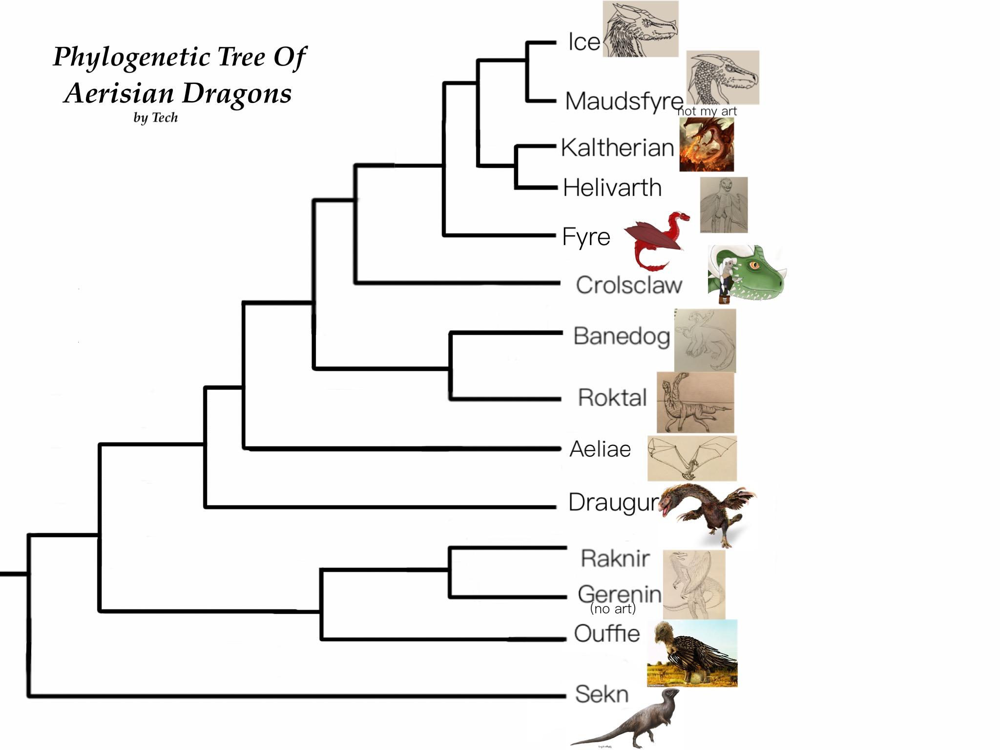 What Is Phylogeny