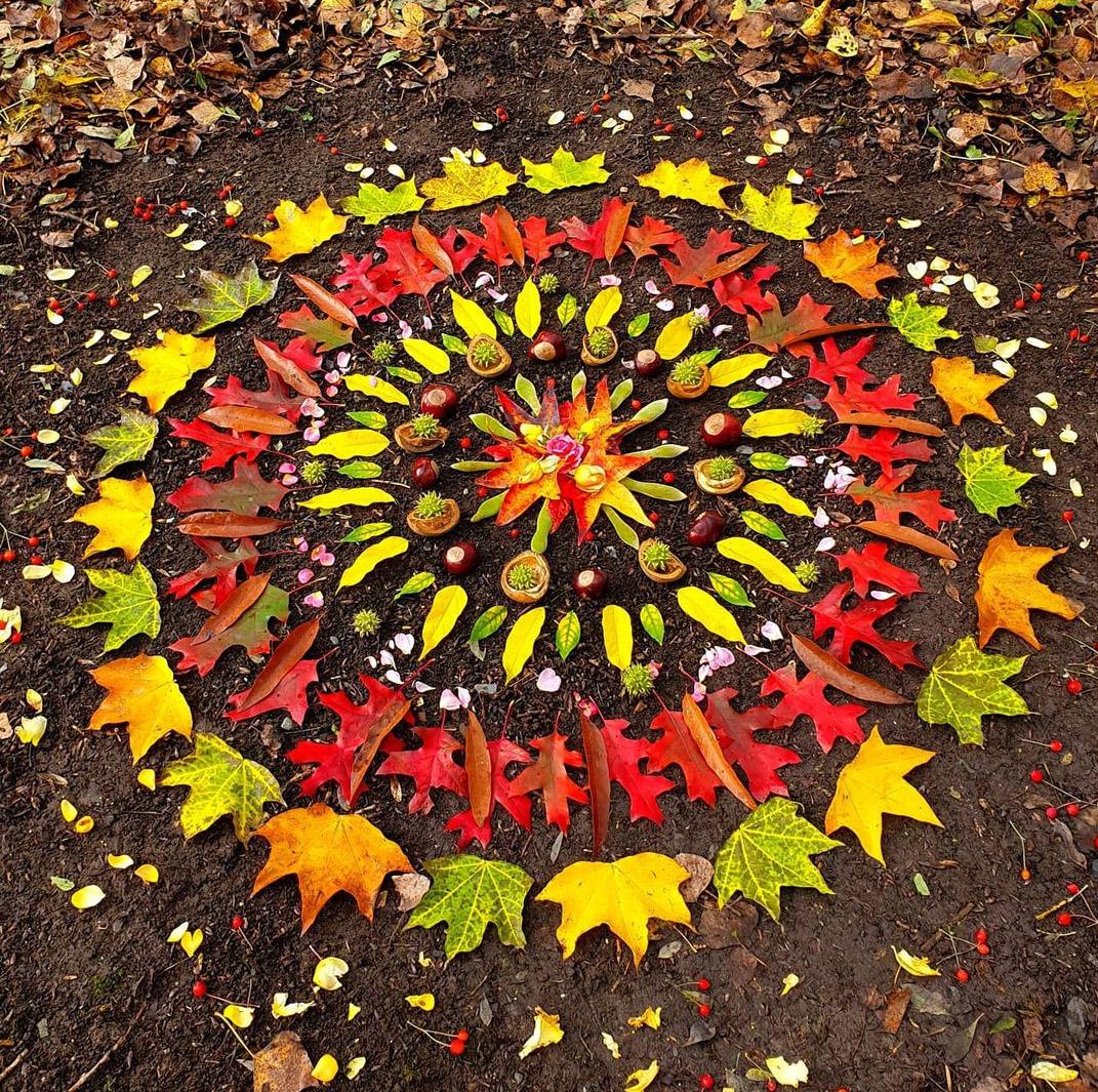 S Ancrer Au Coeur De L Automne Landart