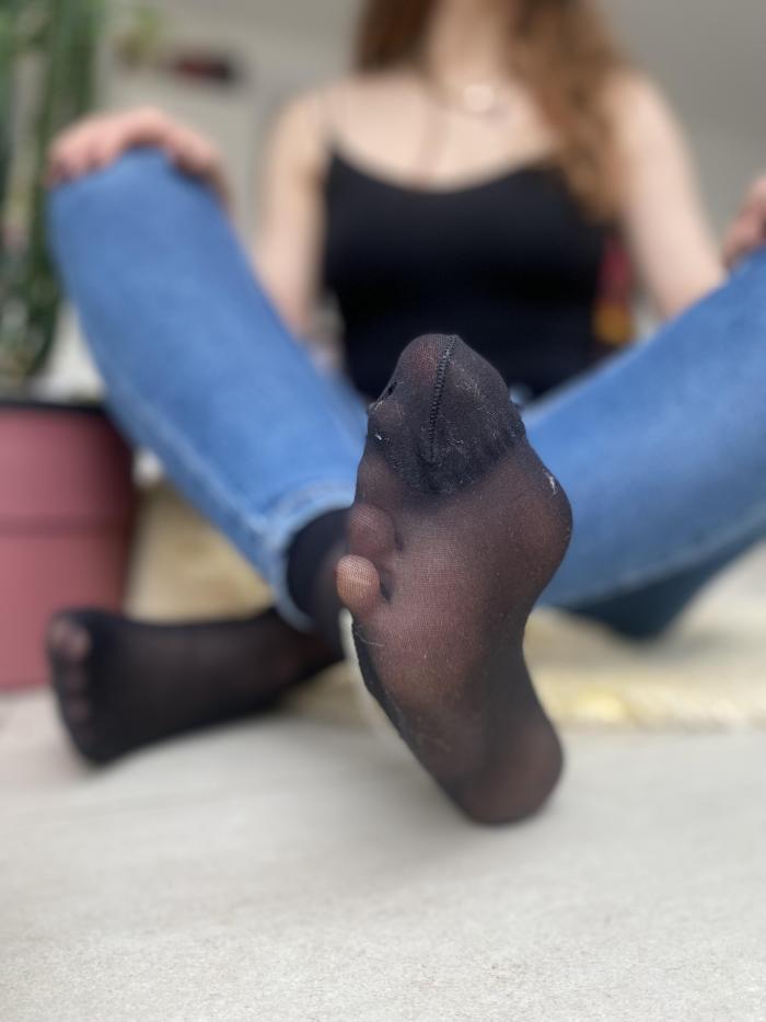 venianyx