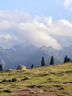Rusinowa Glade, Tatra Mountains, Poland [3517×4689] [OC]
