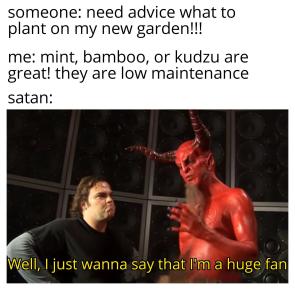 I like mint
