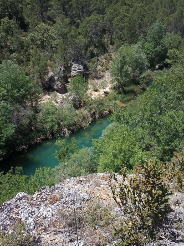 autillo