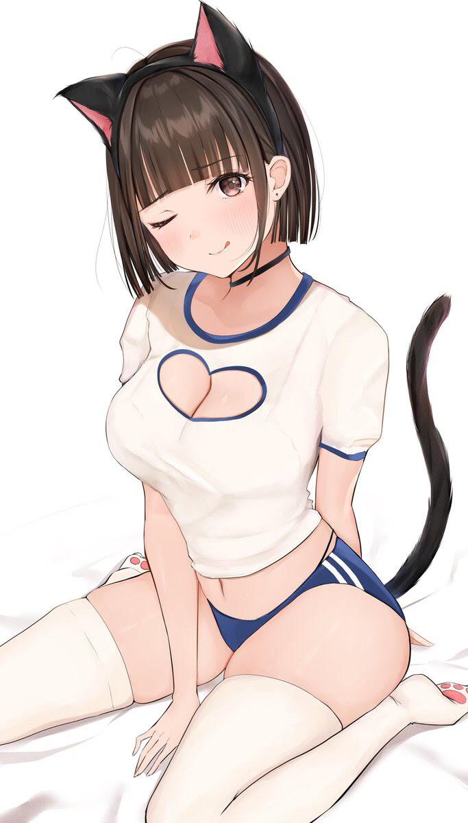 Catgirl Hentai Pics