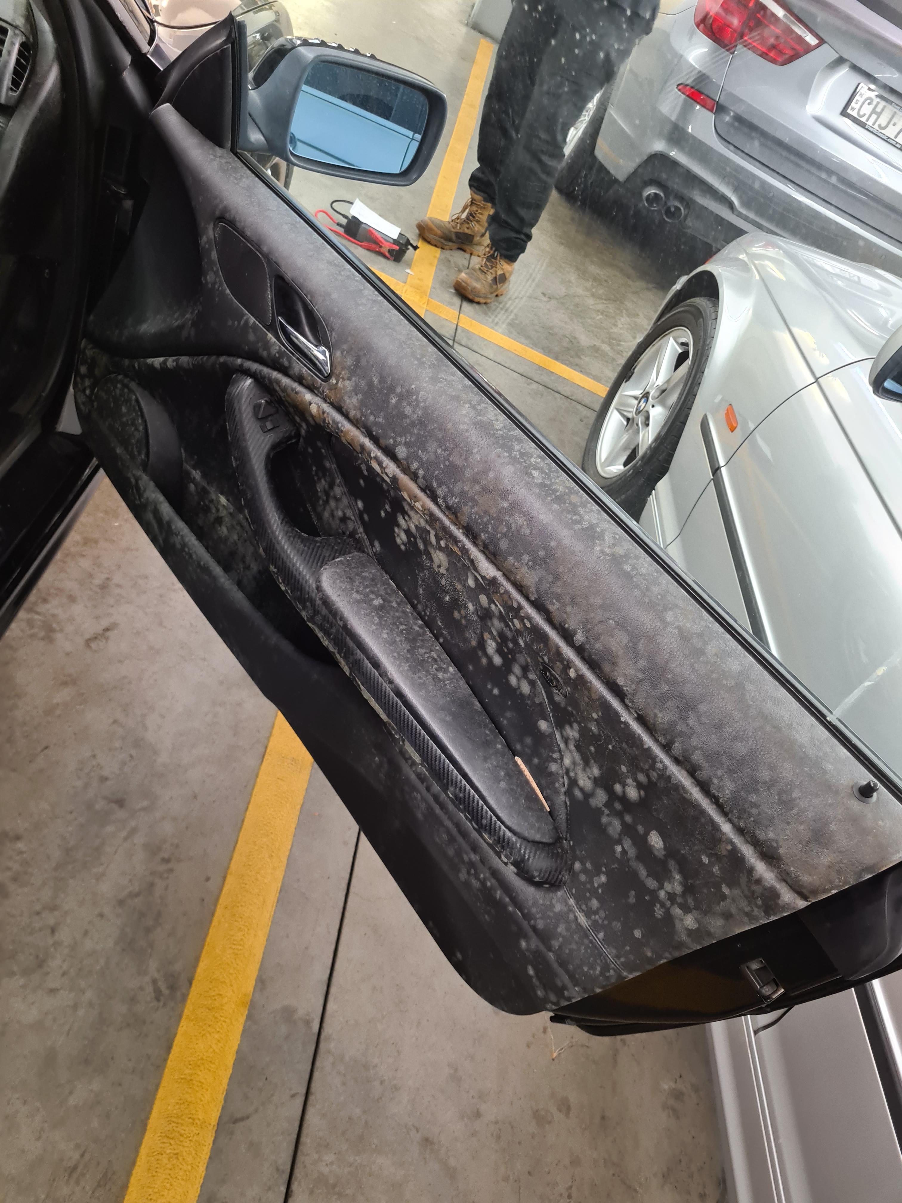 bad car mold-- can we fix it who do we call rcartalk on car mold removal reddit