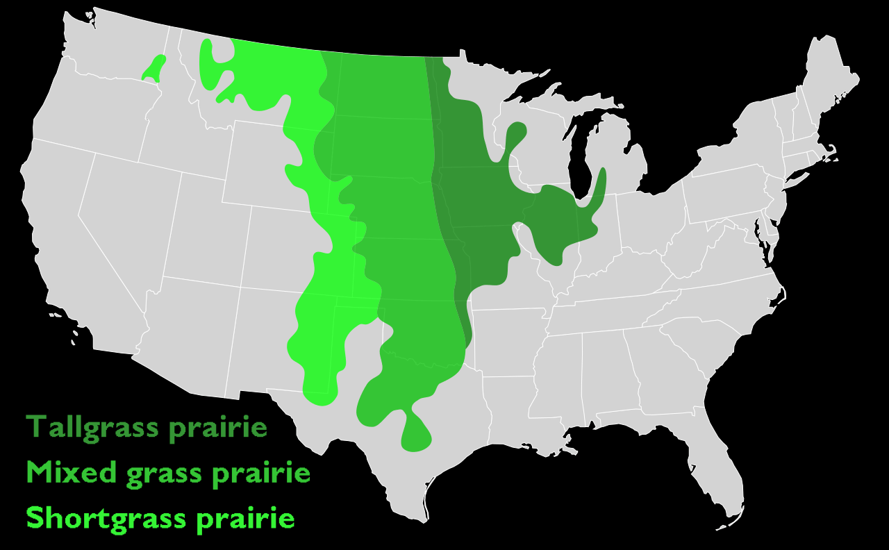 Prairie Grassland Map 