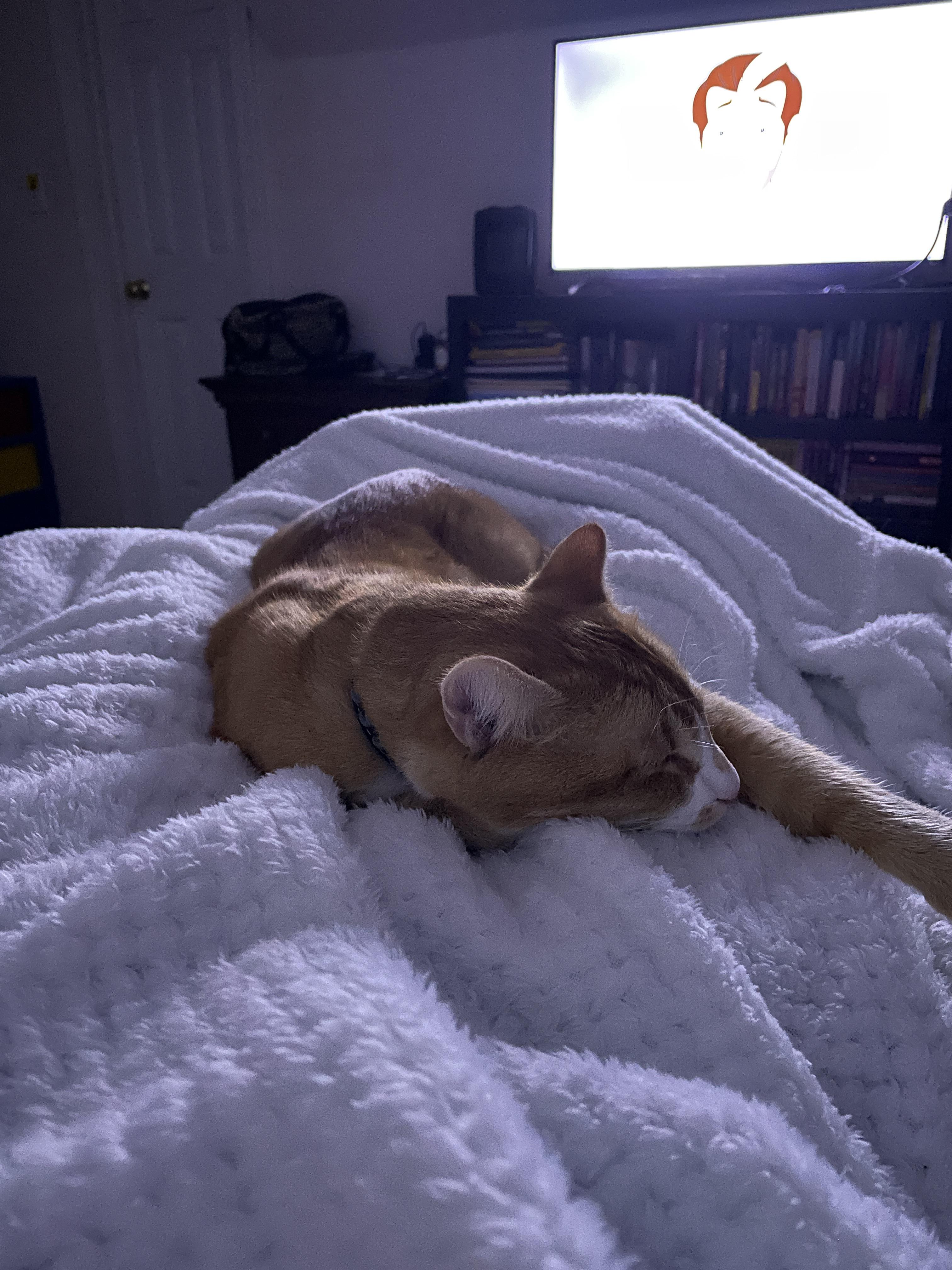 Saw a horrifying disturbing gore video, traumatized : rmentalhealth