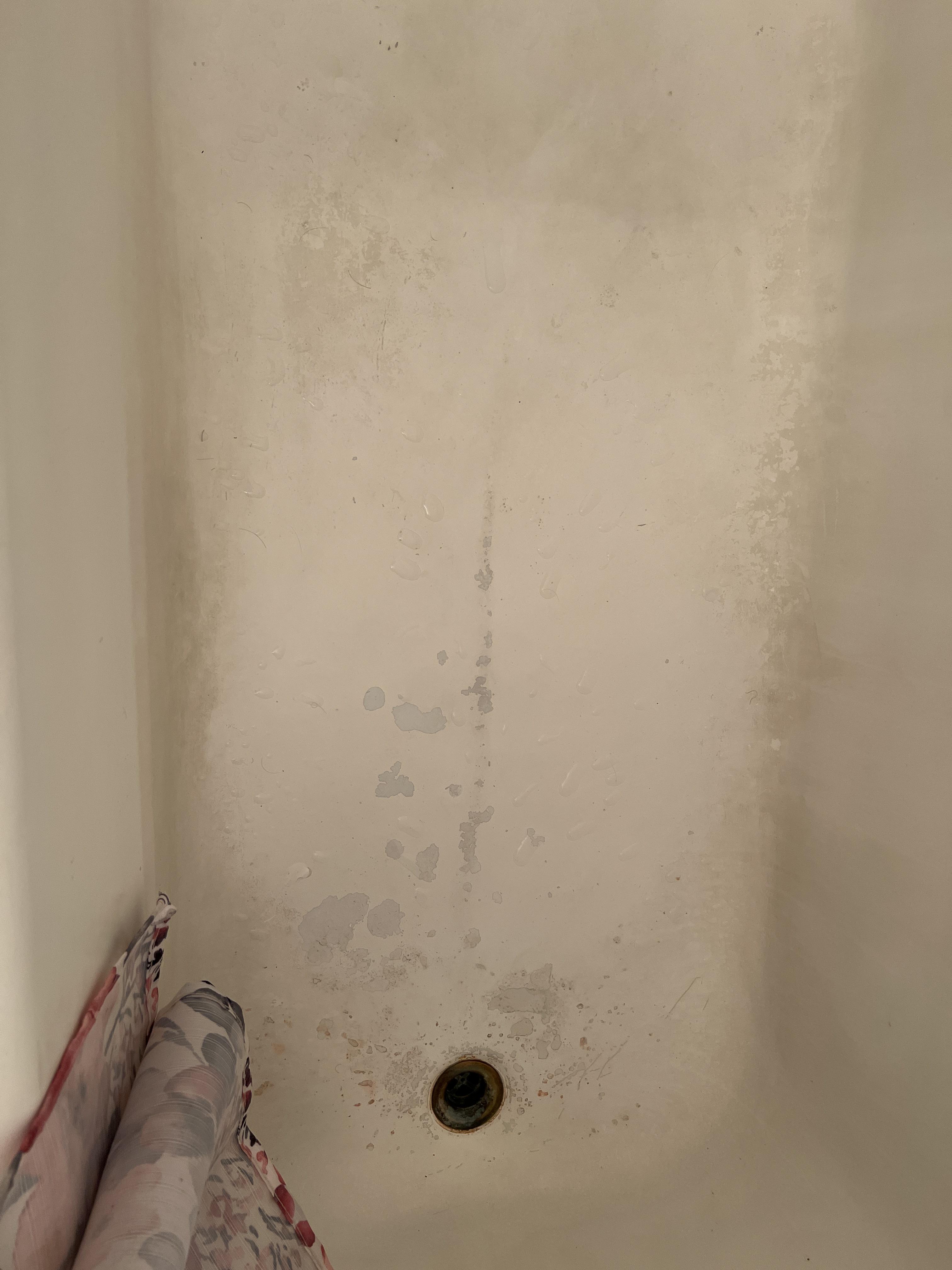 d0mlqicrbzpimm on can you wash a car with dish soap reddit