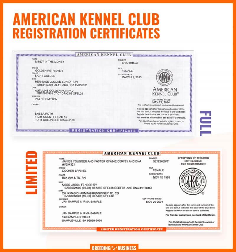 Limited Vs Full AKC Registration: Choose Wisely!