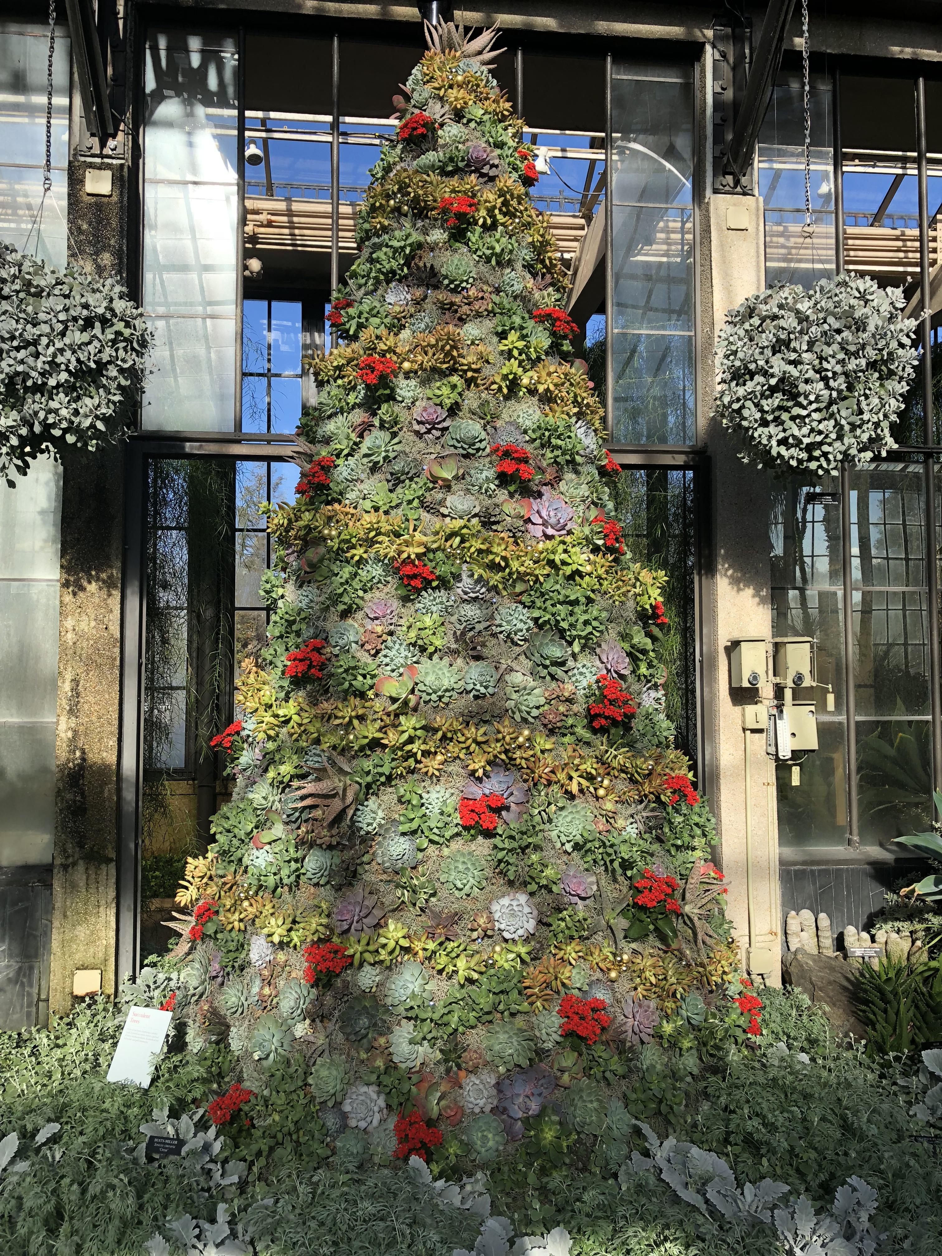 Succulent Christmas Tree Ideas Popsugar Family